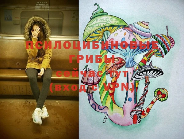 дмт Алзамай