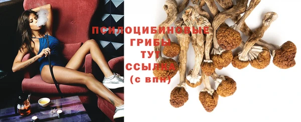 прущий лед Алексеевка