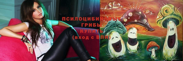 дмт Алзамай