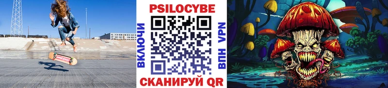 Галлюциногенные грибы мицелий  мега зеркало  Новошахтинск 