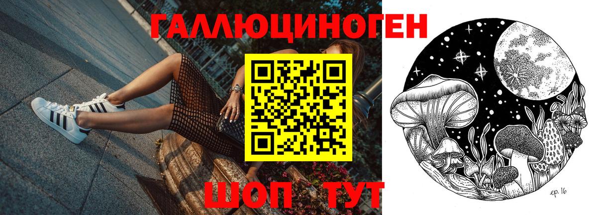 Псилоцибиновые грибы Psilocybine cubensis Новошахтинск